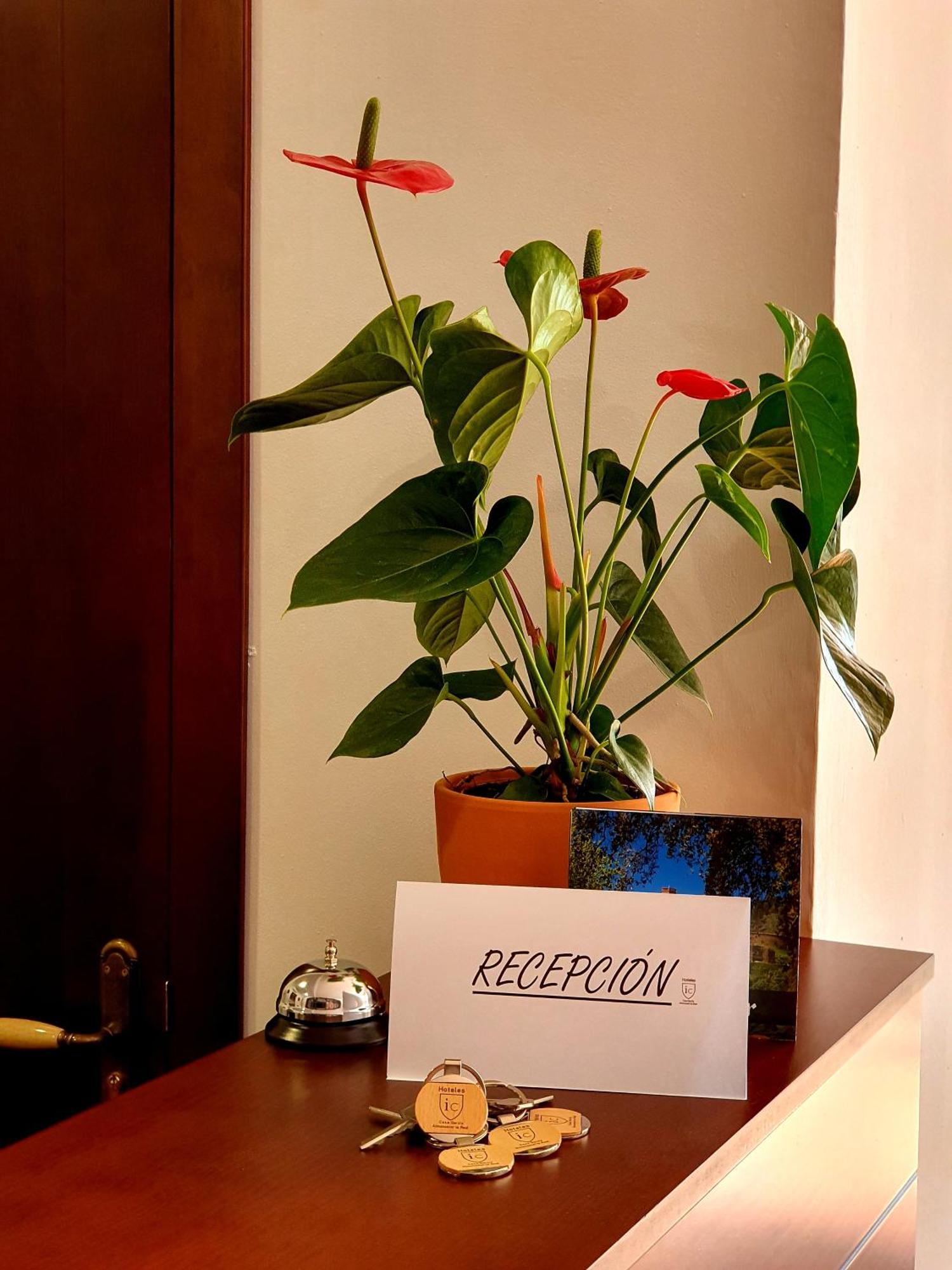 Hotel-Restaurante Casa Garcia 阿尔莫纳斯特尔拉雷亚尔 外观 照片